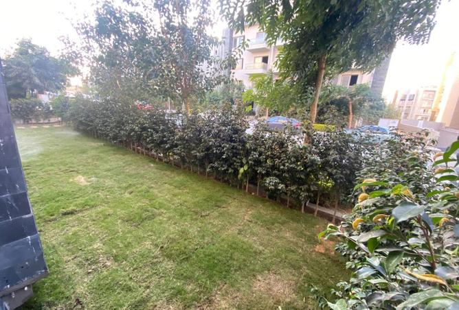 8231591 - صورة العقار 3