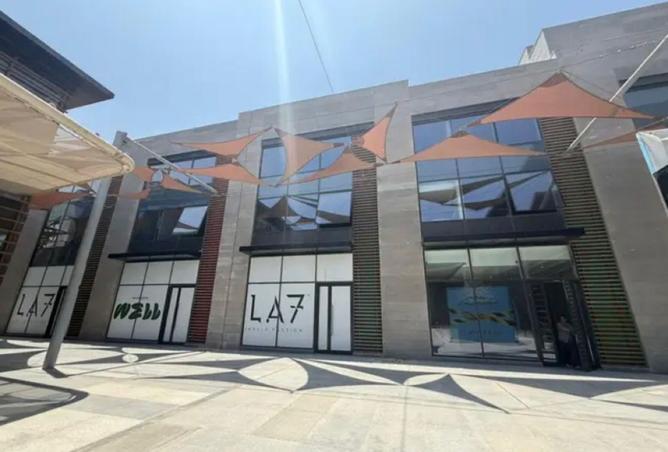 8235312 - Property Image 3