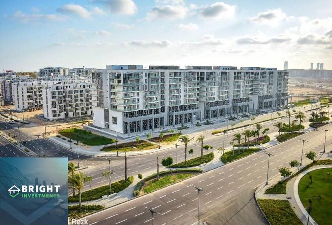 8232369 - Property Image 3