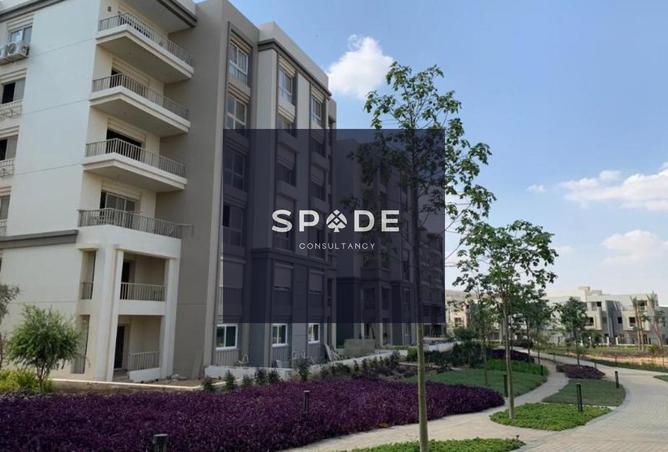 8323150 - Property Image 2