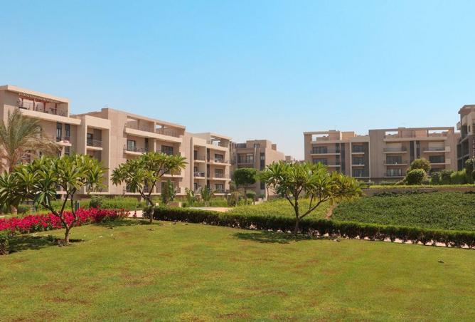 8233022 - Property Image 3