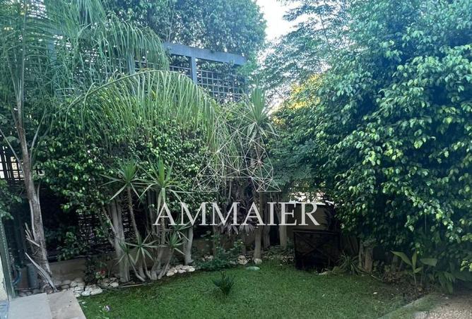 8233088 - صورة العقار 2