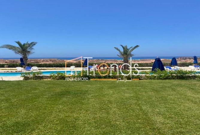 8233410 - صورة العقار 3