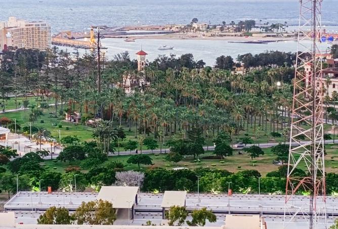 7855101 - Property Image 2