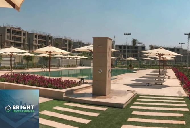 8233693 - Property Image 3