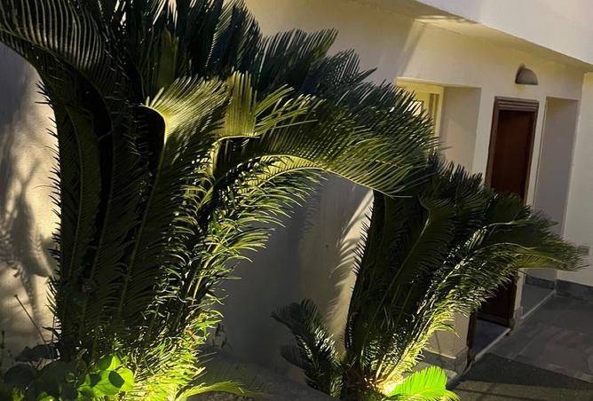 8233939 - Property Image 3