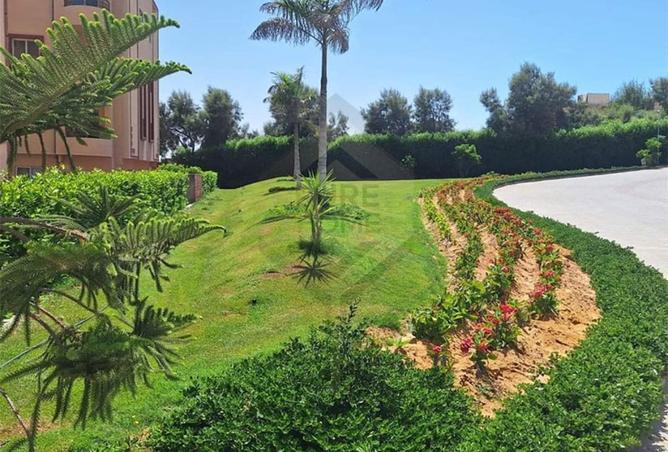 8234170 - الصورة الرئيسية للعقار