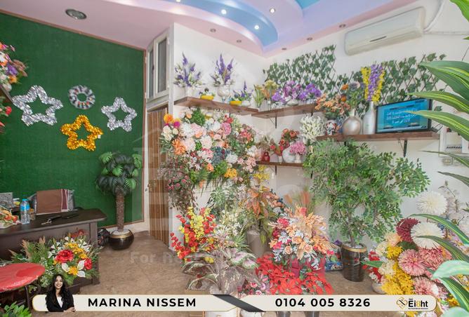 8235278 - Property Image 3