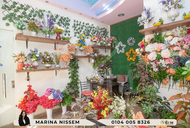 8235278 - Property Image 2