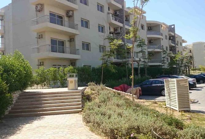 8235293 - صورة العقار 2