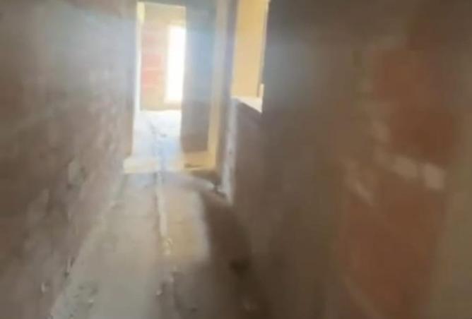 8235971 - صورة العقار 2