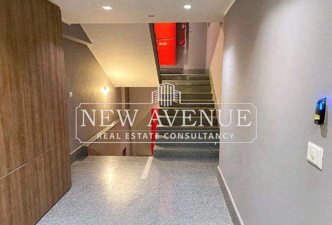 8238231 - Property Image 3