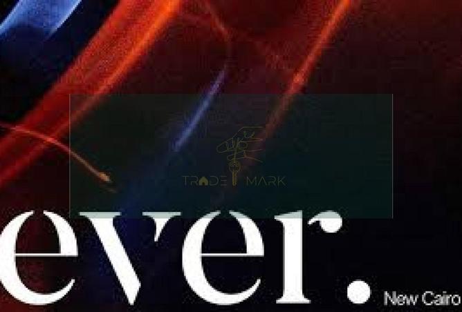 8237894 - Property Image 2