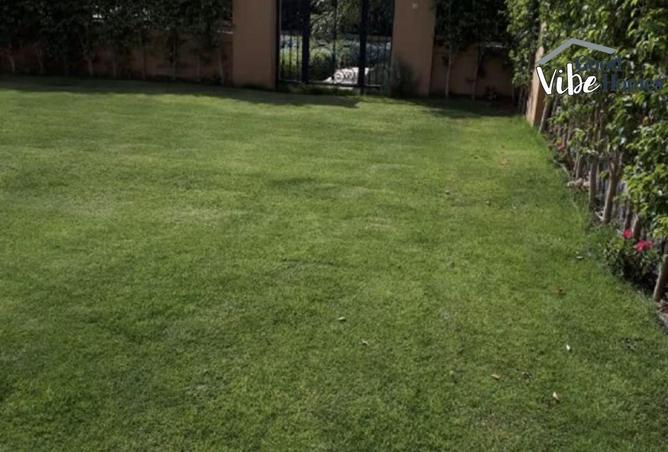 8238482 - صورة العقار 3