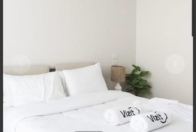 8238529 - صورة العقار 3