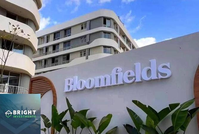 8239101 - صورة العقار 3