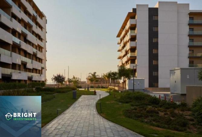 8239291 - Property Image 3