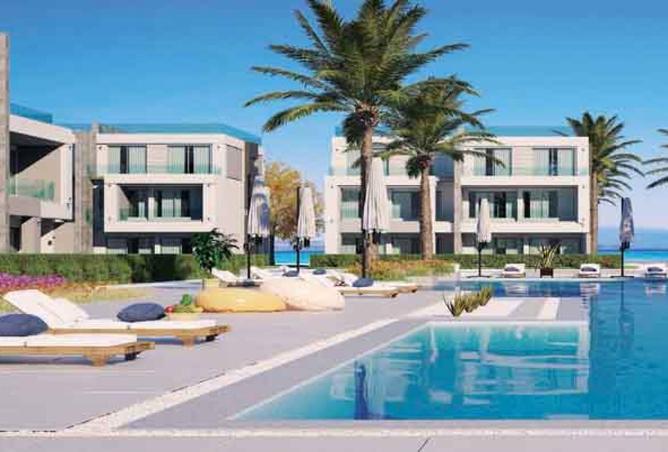 8239563 - Property Image 2