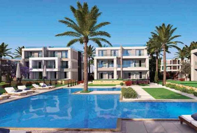 8239563 - Property Image 3