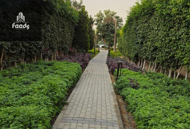 8390764 - صورة العقار 2