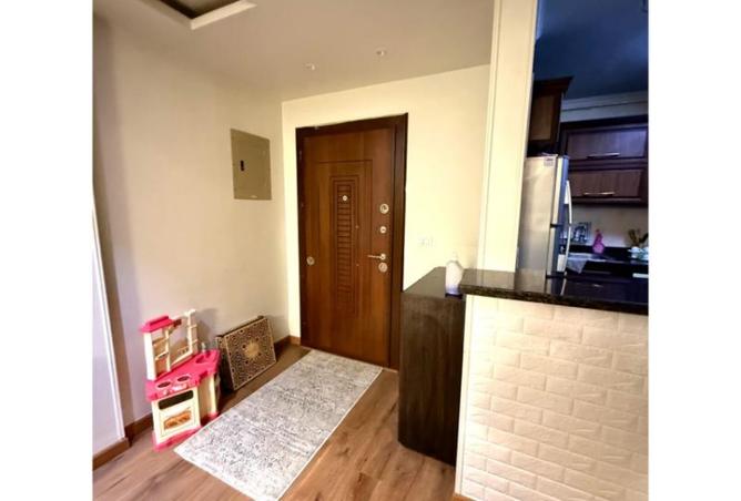 8240349 - Property Image 3