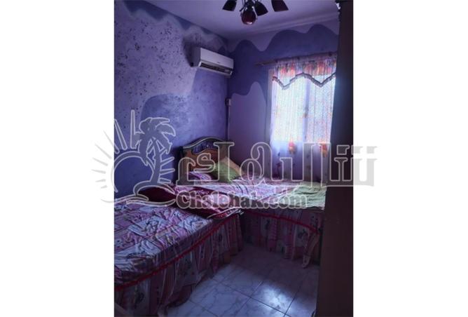 8240842 - Property Image 3