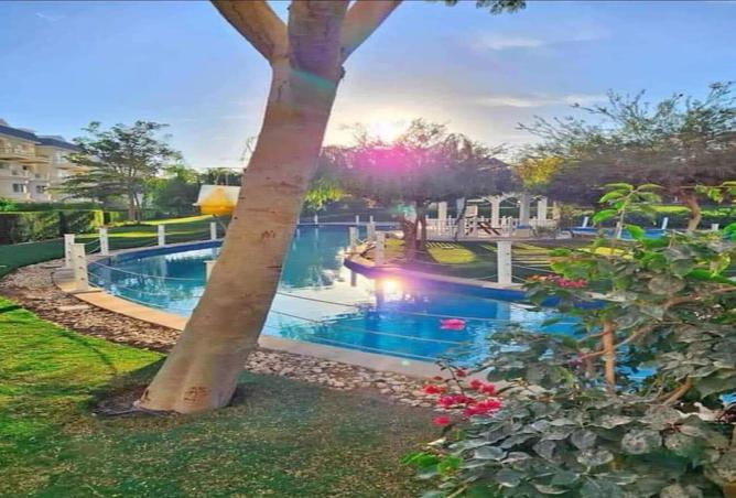 8240965 - صورة العقار 3