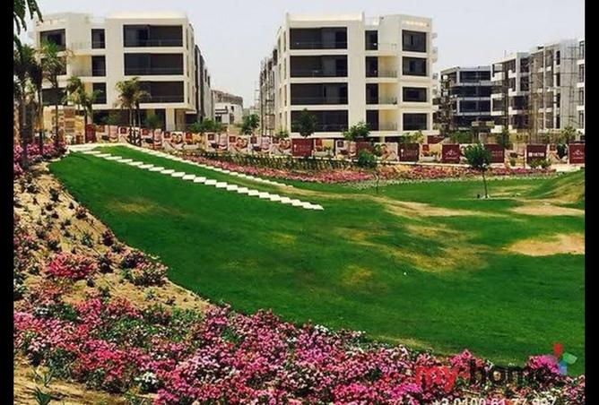 8241040 - صورة العقار 2