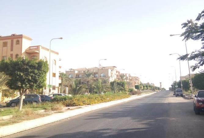 8241442 - Property Image 3