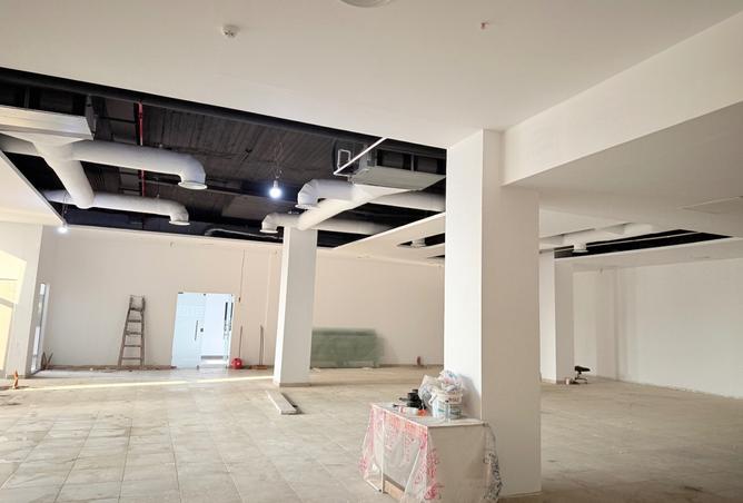 8241768 - الصورة الرئيسية للعقار