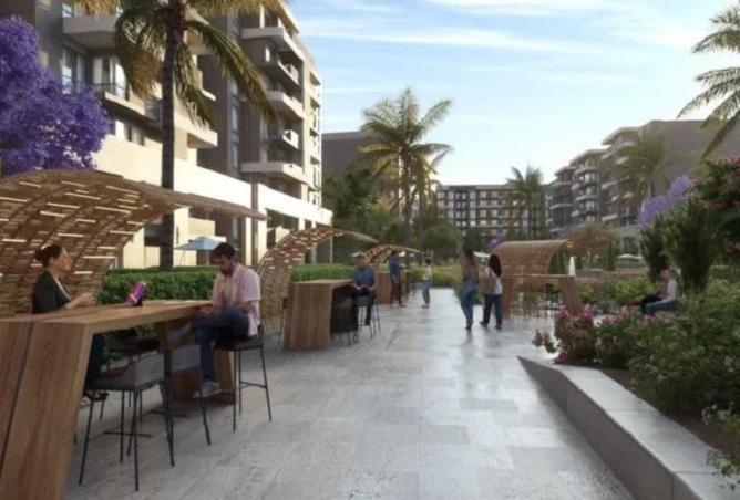 8241739 - Property Image 3