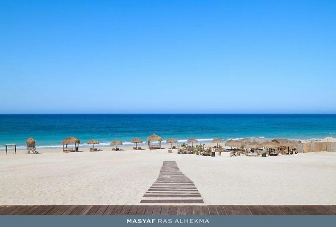 8242788 - صورة العقار 3