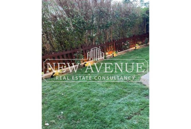 8243158 - صورة العقار 2