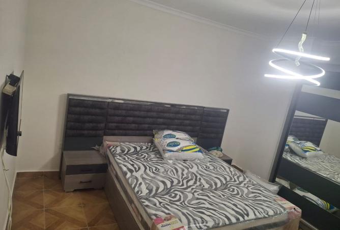 8242915 - Property Image 3