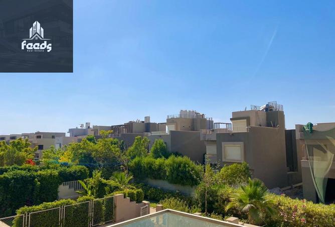 8243022 - Property Image 3