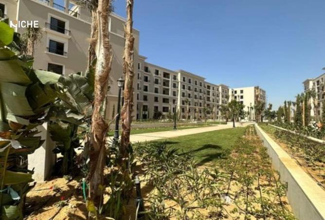 8243172 - صورة العقار 3