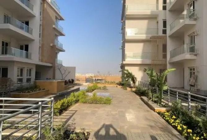 8247307 - Property Image 2