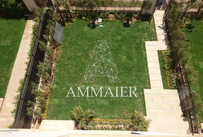 8243676 - Property Image 3