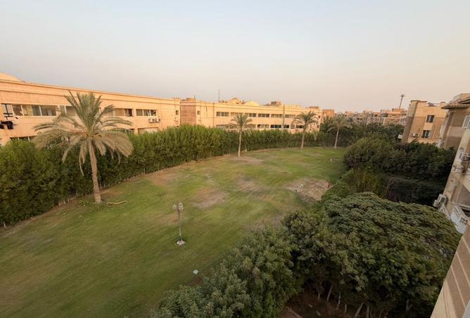 8243981 - صورة العقار 3