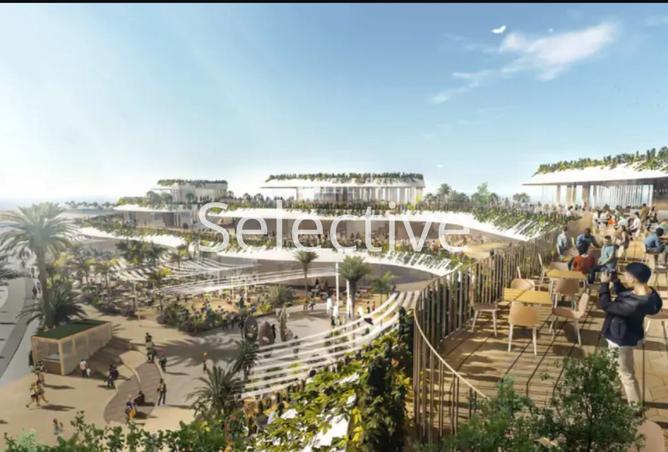 8244016 - Property Image 3