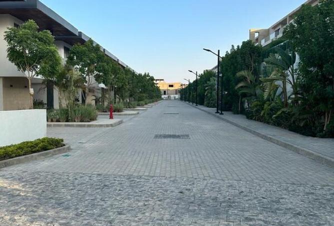 8244796 - Property Image 3