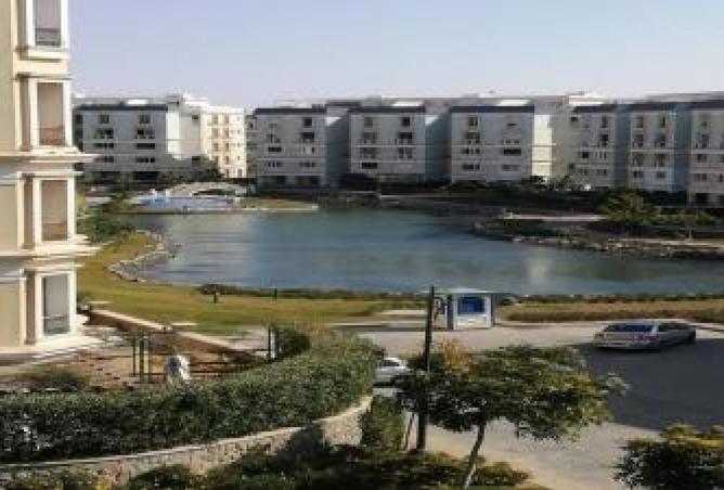 8247166 - صورة العقار 2