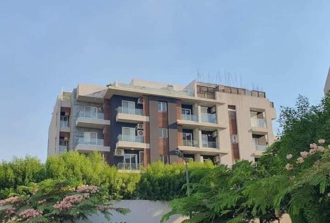 8246146 - صورة العقار 2