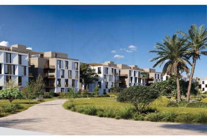 7781315 - صورة العقار 3