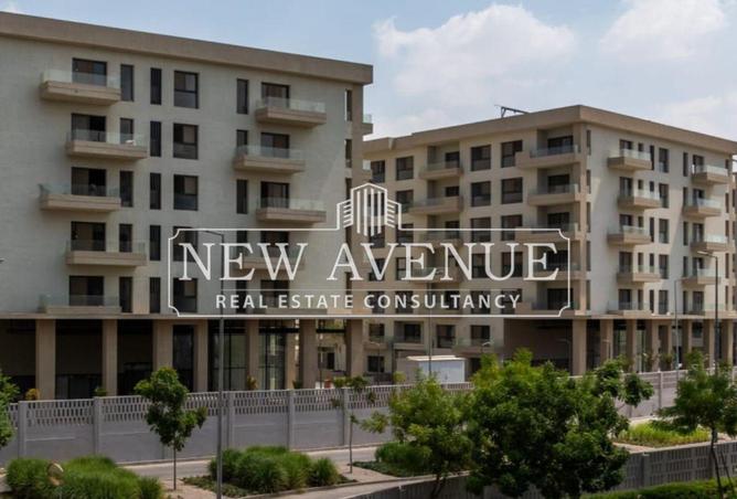 8318544 - Property Image 2