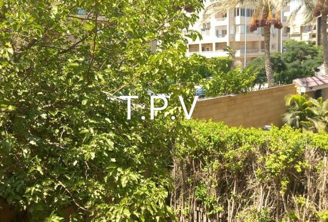 56005889 - صورة العقار 3