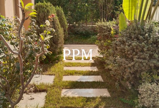 8246508 - صورة العقار 3