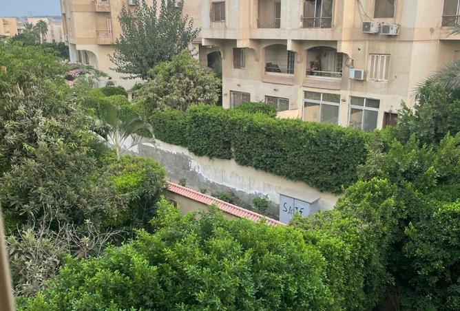 8247964 - صورة العقار 2