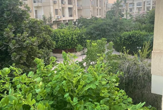 8247964 - صورة العقار 3