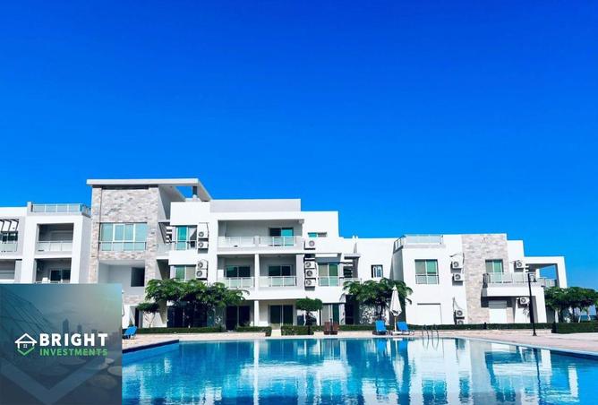 8246954 - صورة العقار 3